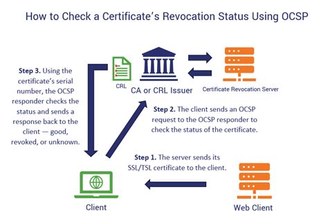 the revocation status of domain